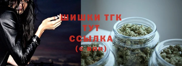 ешки Инта