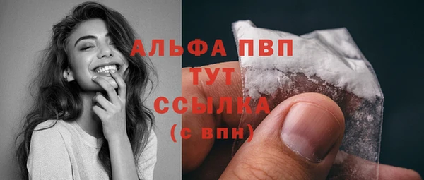 ешки Инта