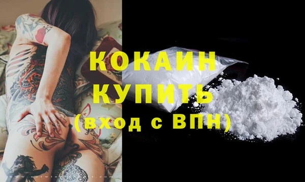 a pvp Инсар