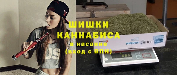 a pvp Инсар