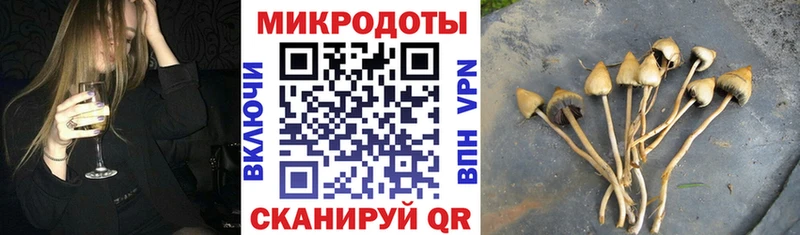Купить где  Балтийск  Псилоцибиновые грибы Magic Shrooms 